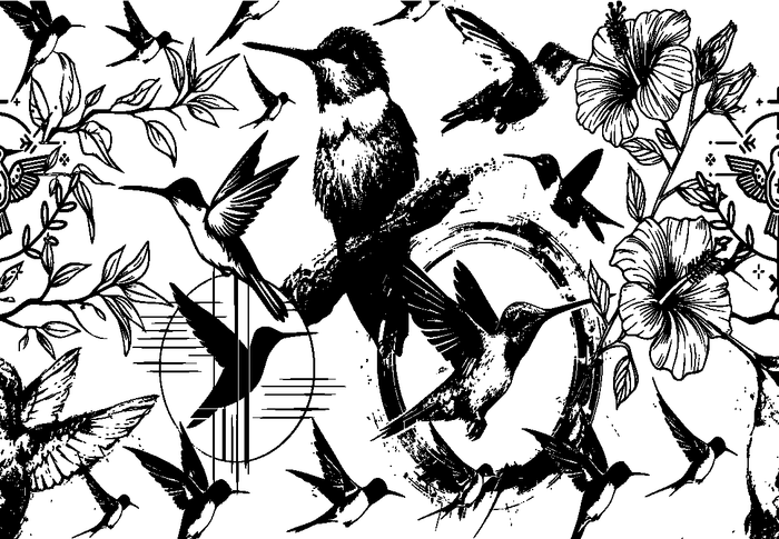 Hummingbird Garden