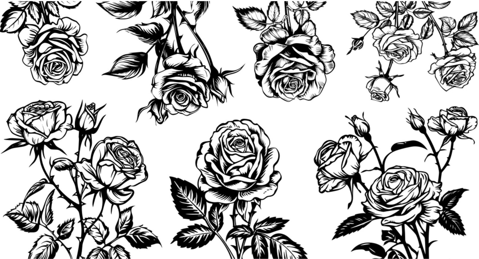 Roses
