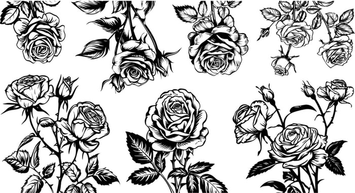 Roses