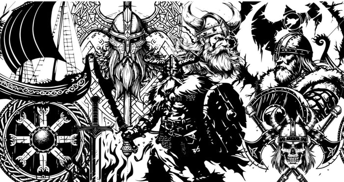 Viking Warriors